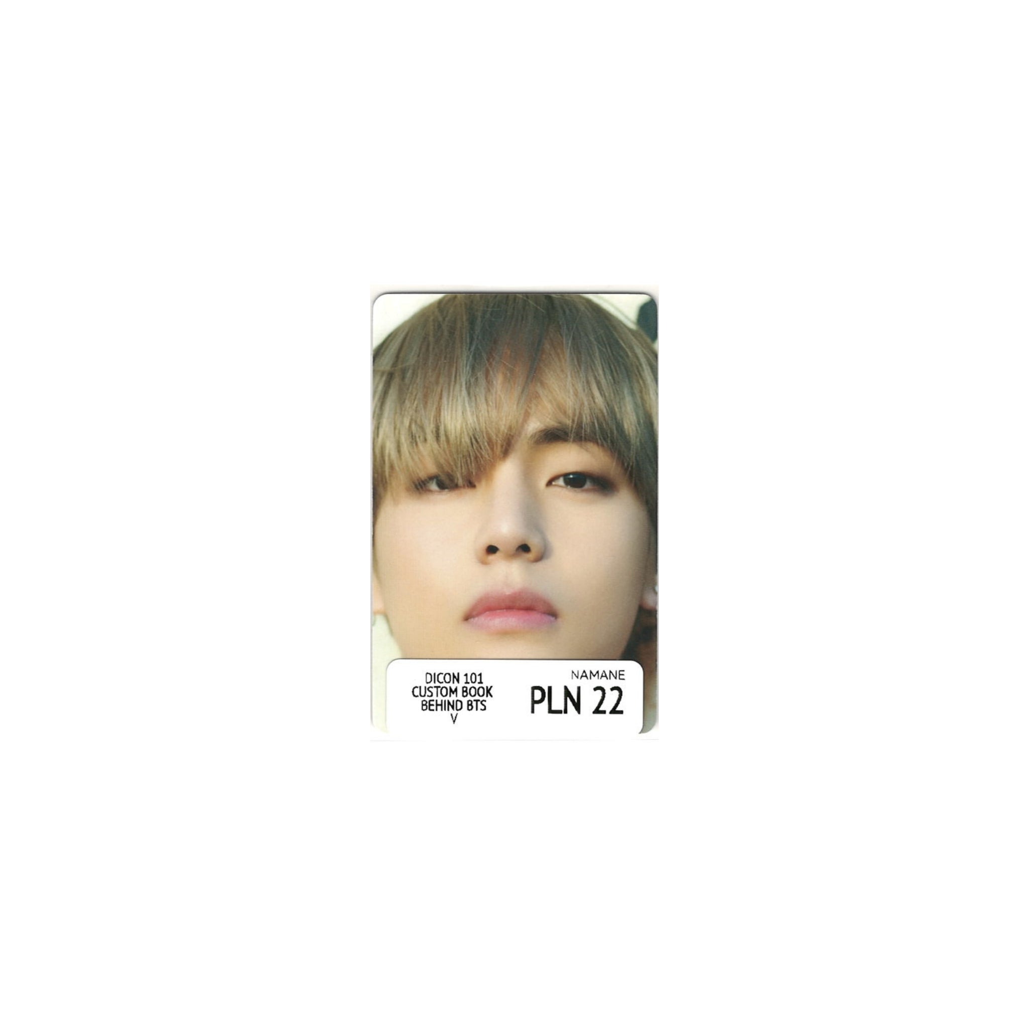 BTS - DICON 101 CUSTOM BOOK BEHIND BTS VER. 1 (V)