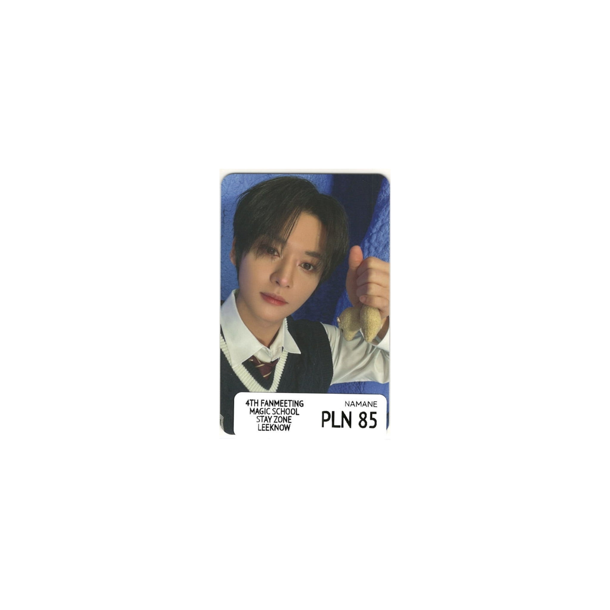STRAY KIDS - 4TH FANMEETING MAGIC SCHOOL STAY ZONE (LEEKNOW)