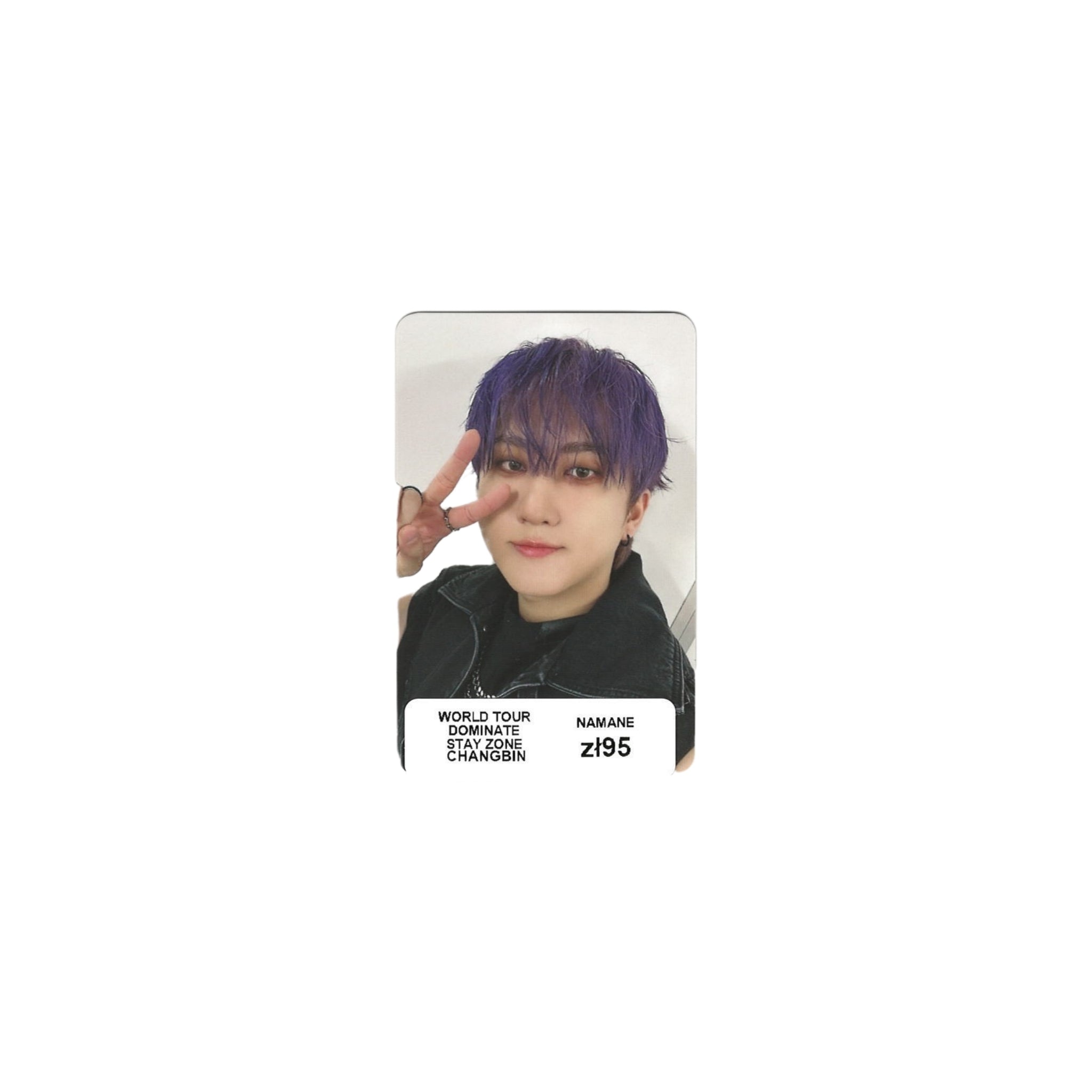 STRAY KIDS - WORLD TOUR DOMINATE STAY ZONE (CHANGBIN)