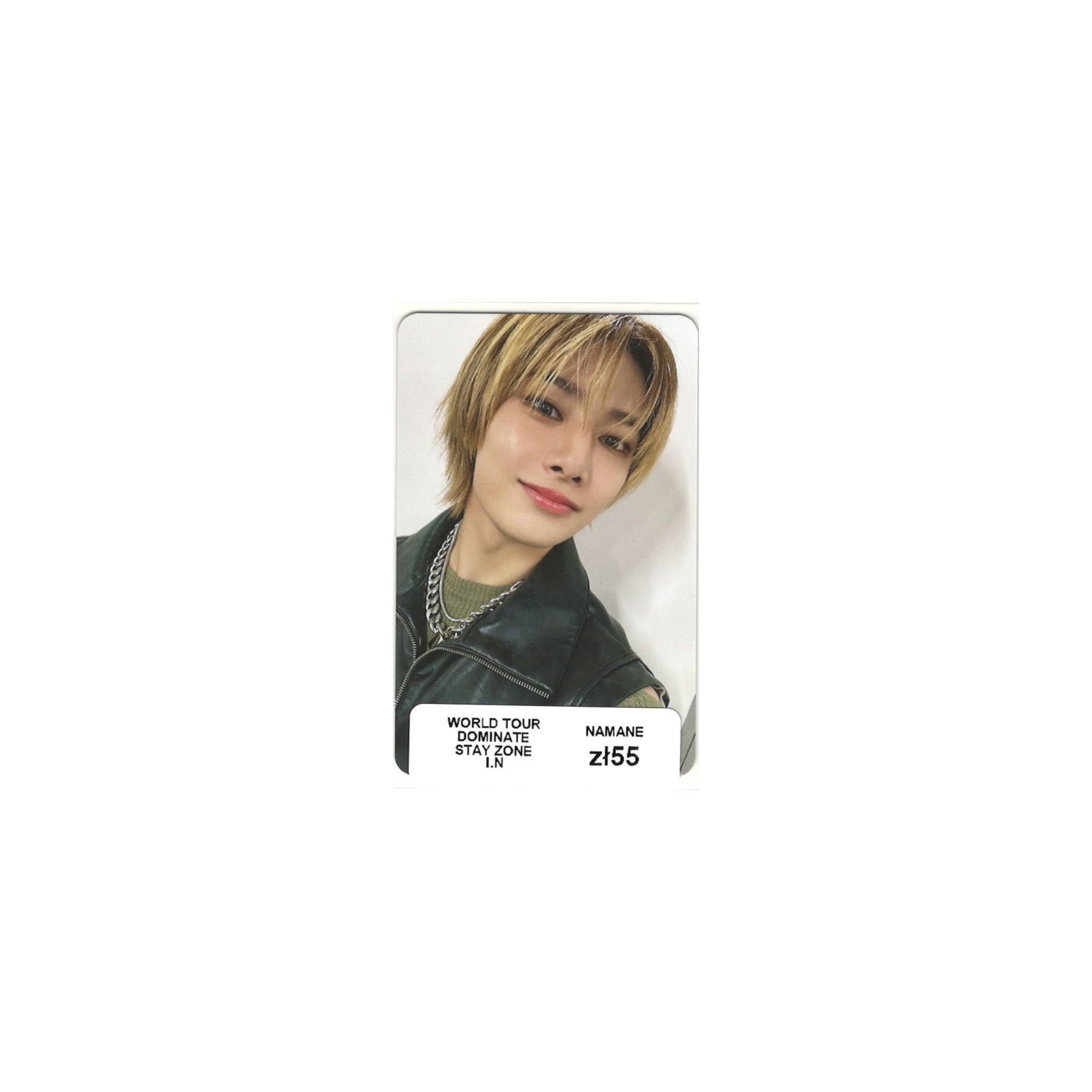 STRAY KIDS - WORLD TOUR DOMINATE STAY ZONE (I.N)