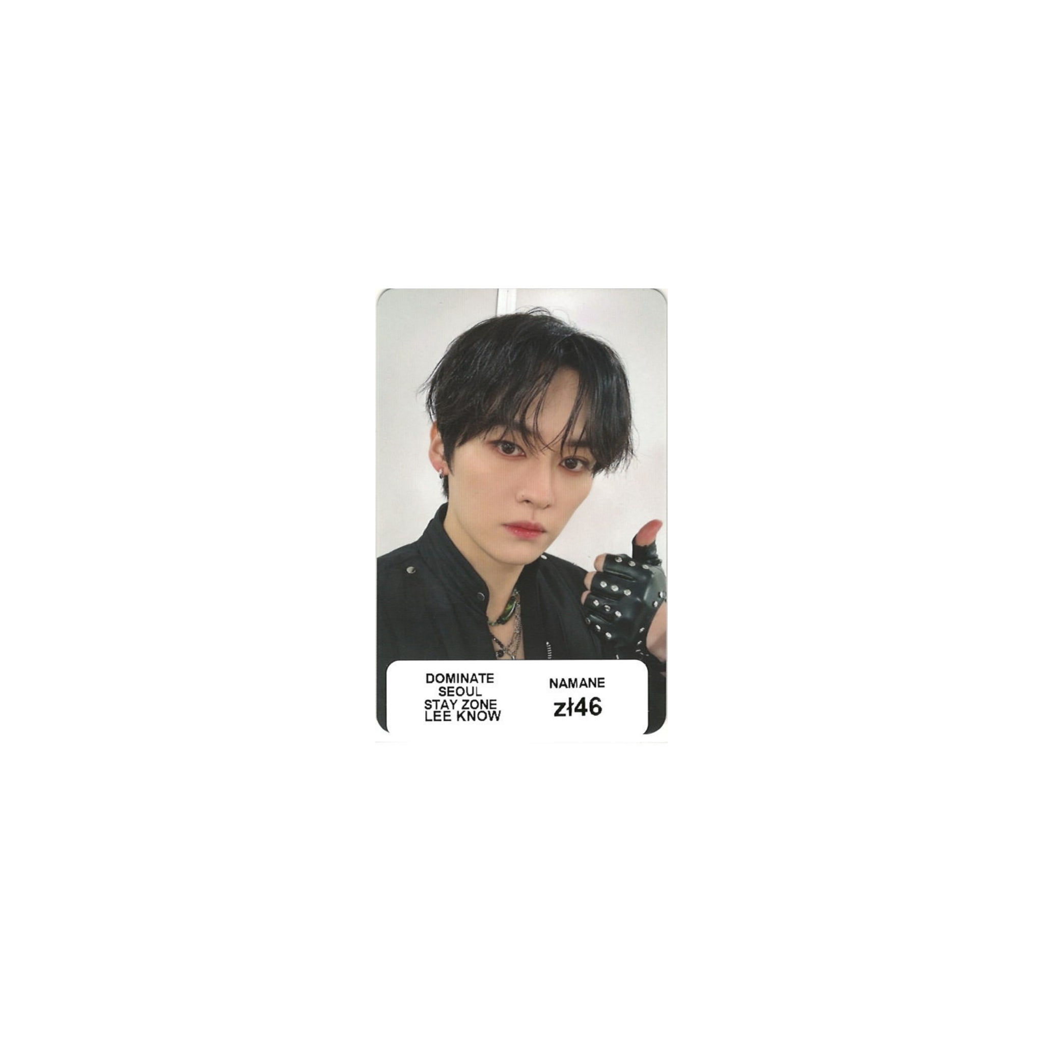 STRAY KIDS DOMINATE SEOUL STAY ZONE (LEE KNOW)