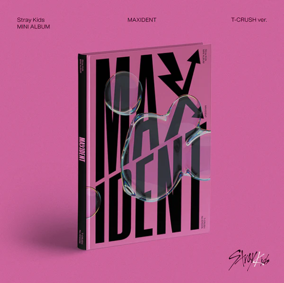 Mini Album [MAXIDENT]